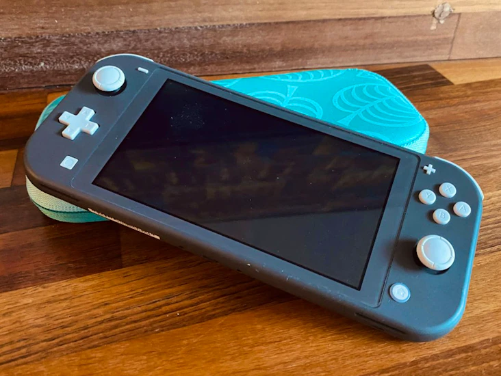 Nintendo switch lite