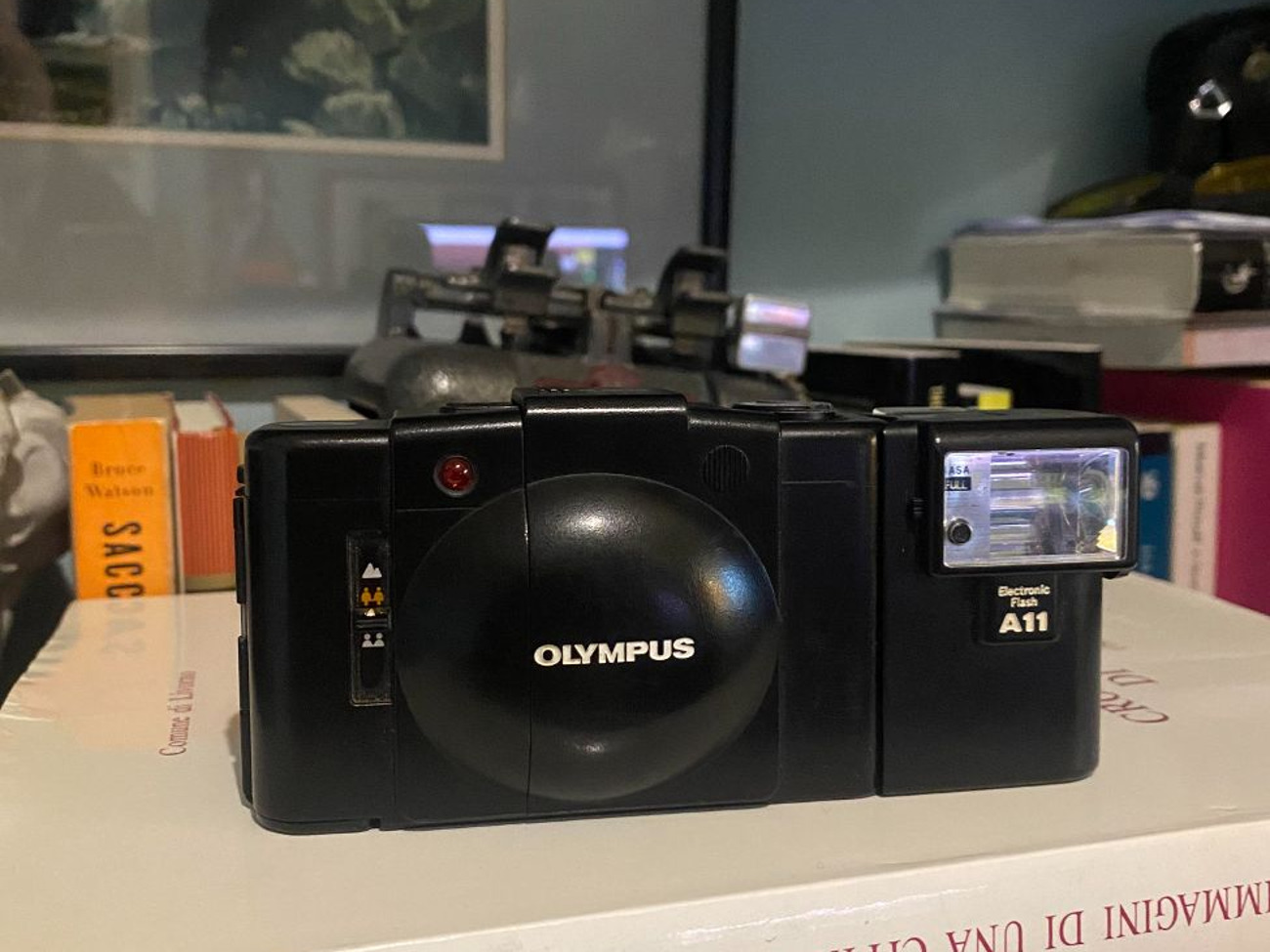 Olympus xa2 - 35mm point and shoot