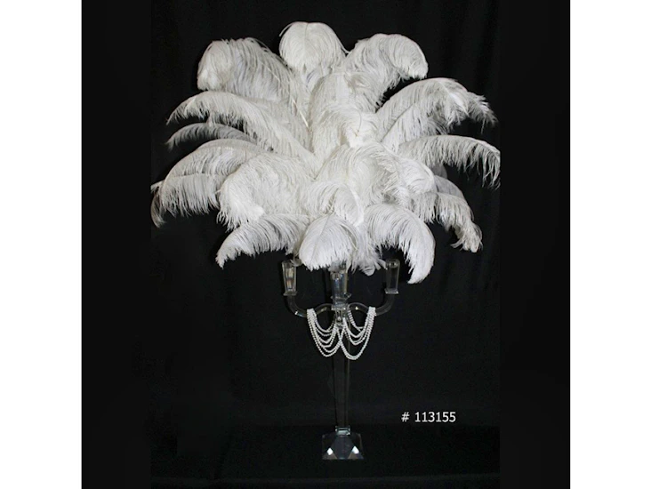 Ostrich feather centerpiece 55 inch tall # 113155