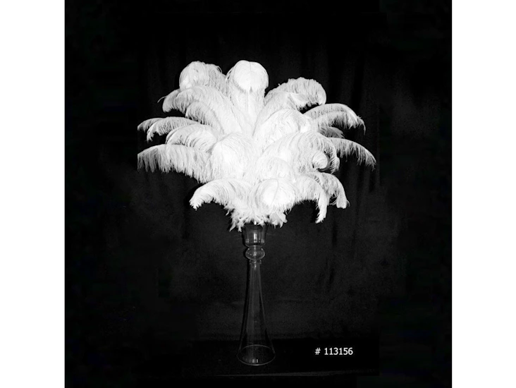 Ostrich feather centerpiece 55 inch tall # 113156