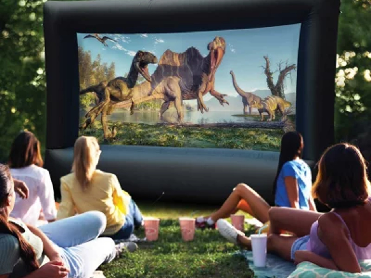Outdoor cinema (projector, screen, speakers)