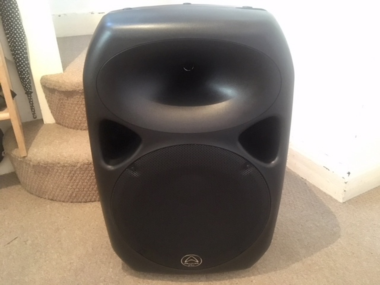 Pa system/portable party speaker