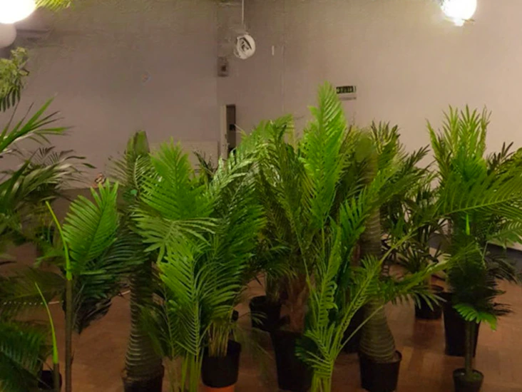 Palm tree plants for decorations 10x