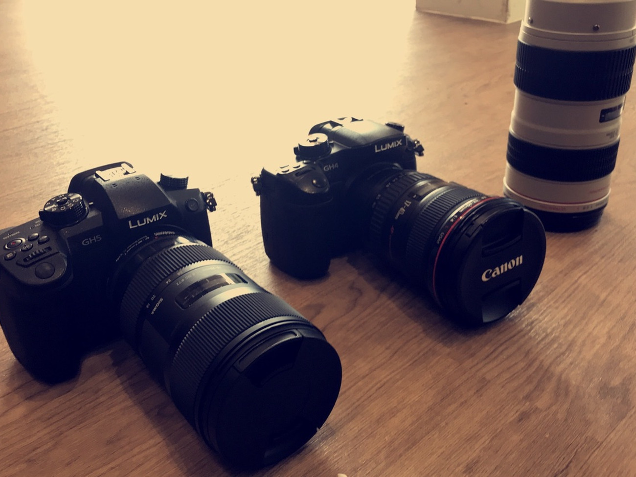 Panasonic gh5 