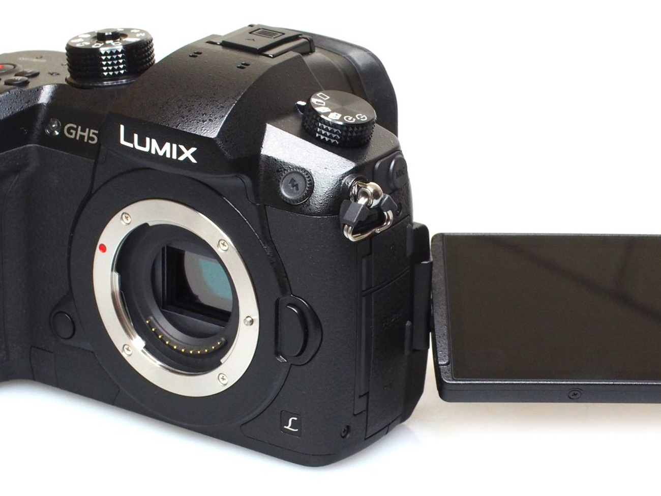 Panasonic gh5 (body)