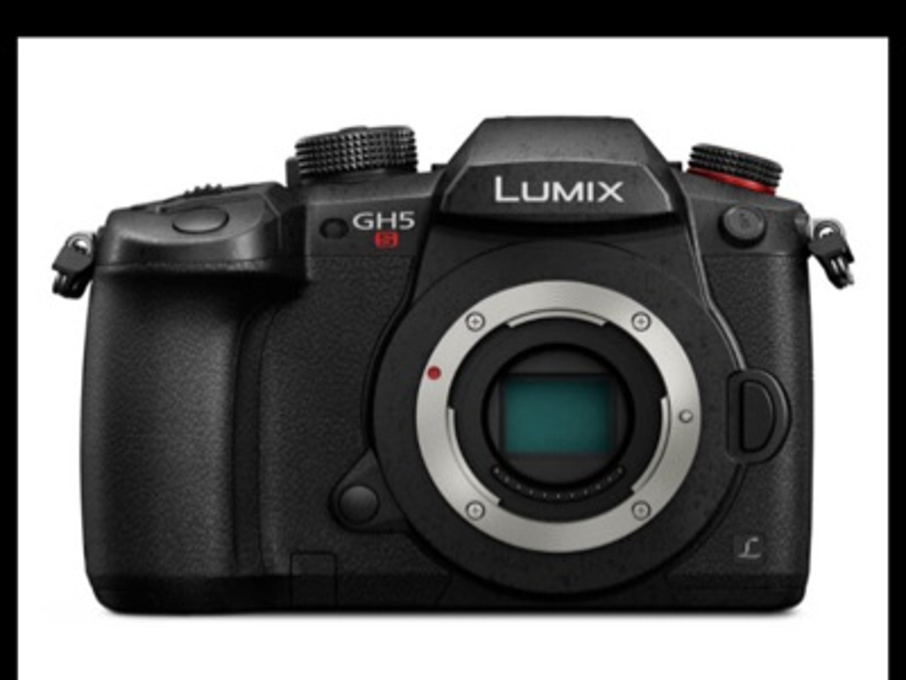 Panasonic gh5s 