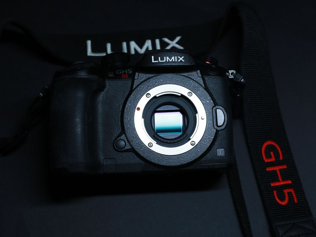 Panasonic gh5s camera body 