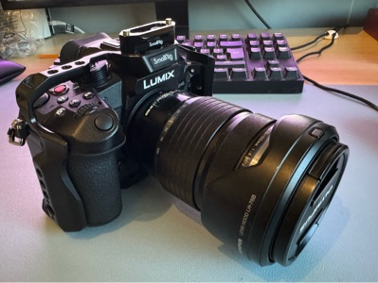 Panasonic gh6 camera with 12-100 f4
