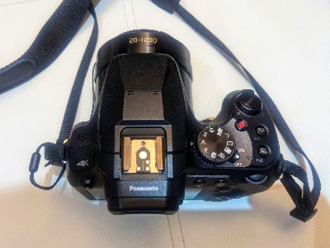 Rent Panasonic Lumix DMC-FZ80 Bridge Superzoom from Ryan L