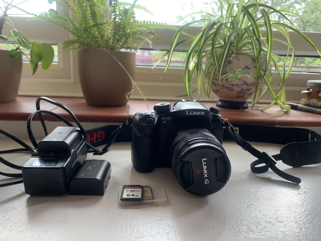 Panasonic lumix gh4 + lumix gx 12-35mm f/2.8 lens