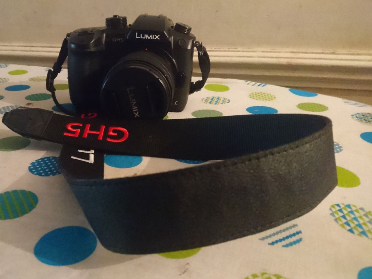 Panasonic lumix gh5