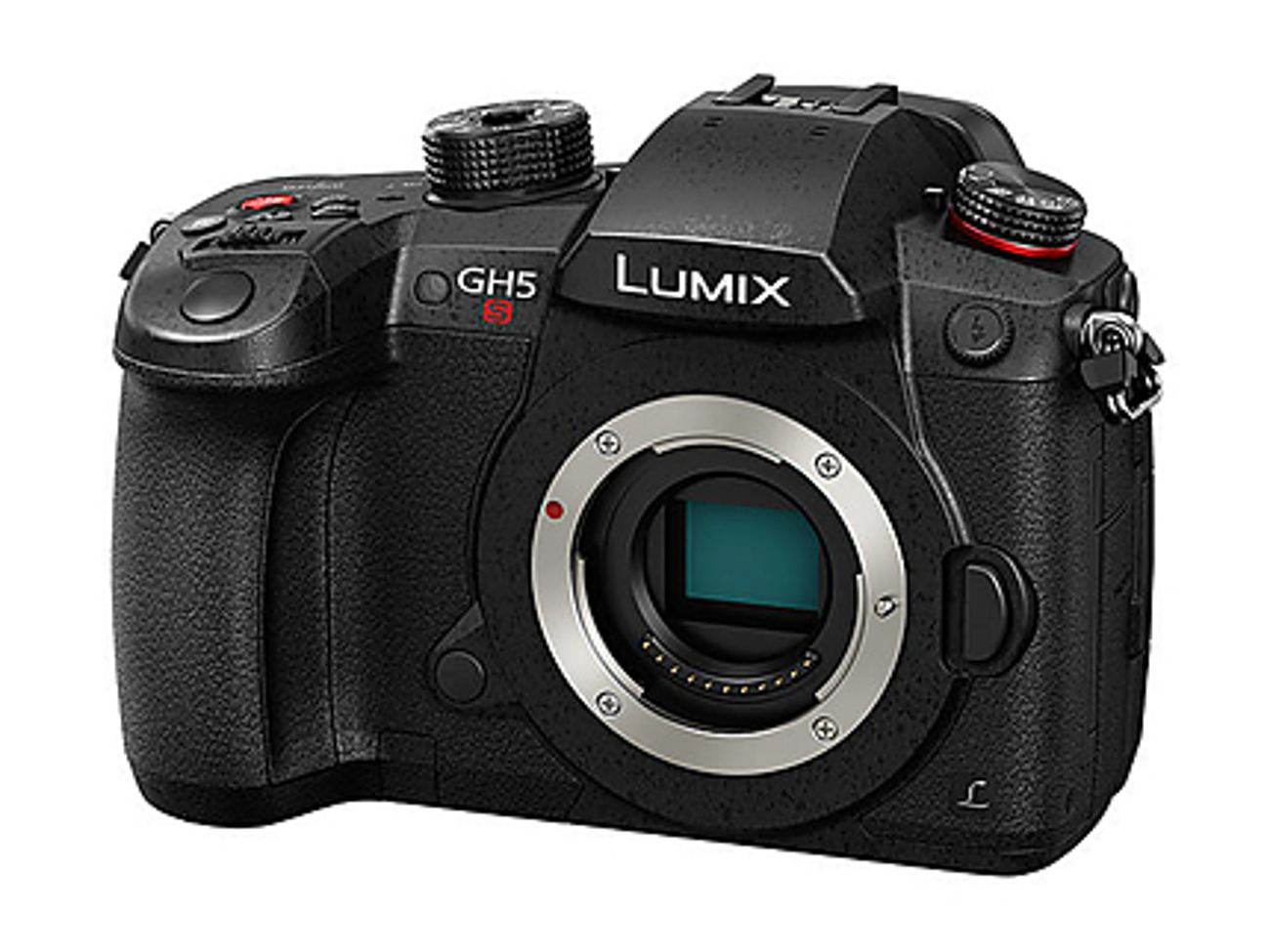 Panasonic lumix gh5s