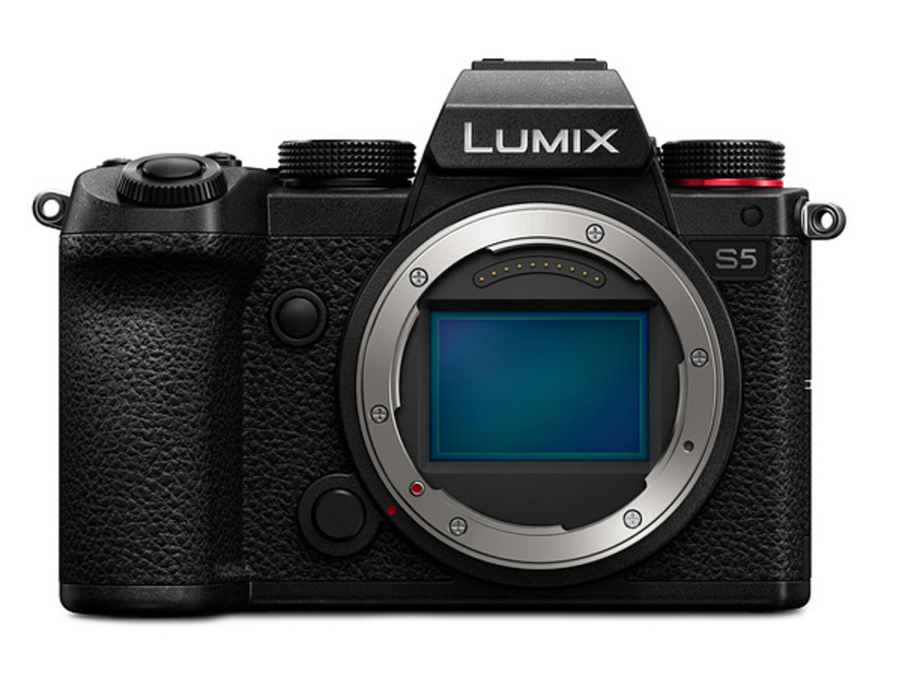 Panasonic lumix s5 + sigma mc-21 (canon ef - l mount)