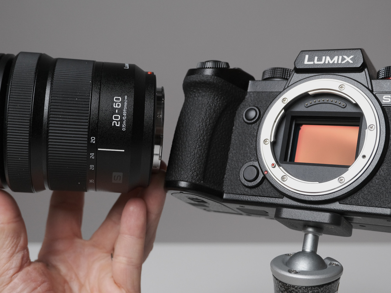 Panasonic lumix s5 with lumix s 20-60mm lens