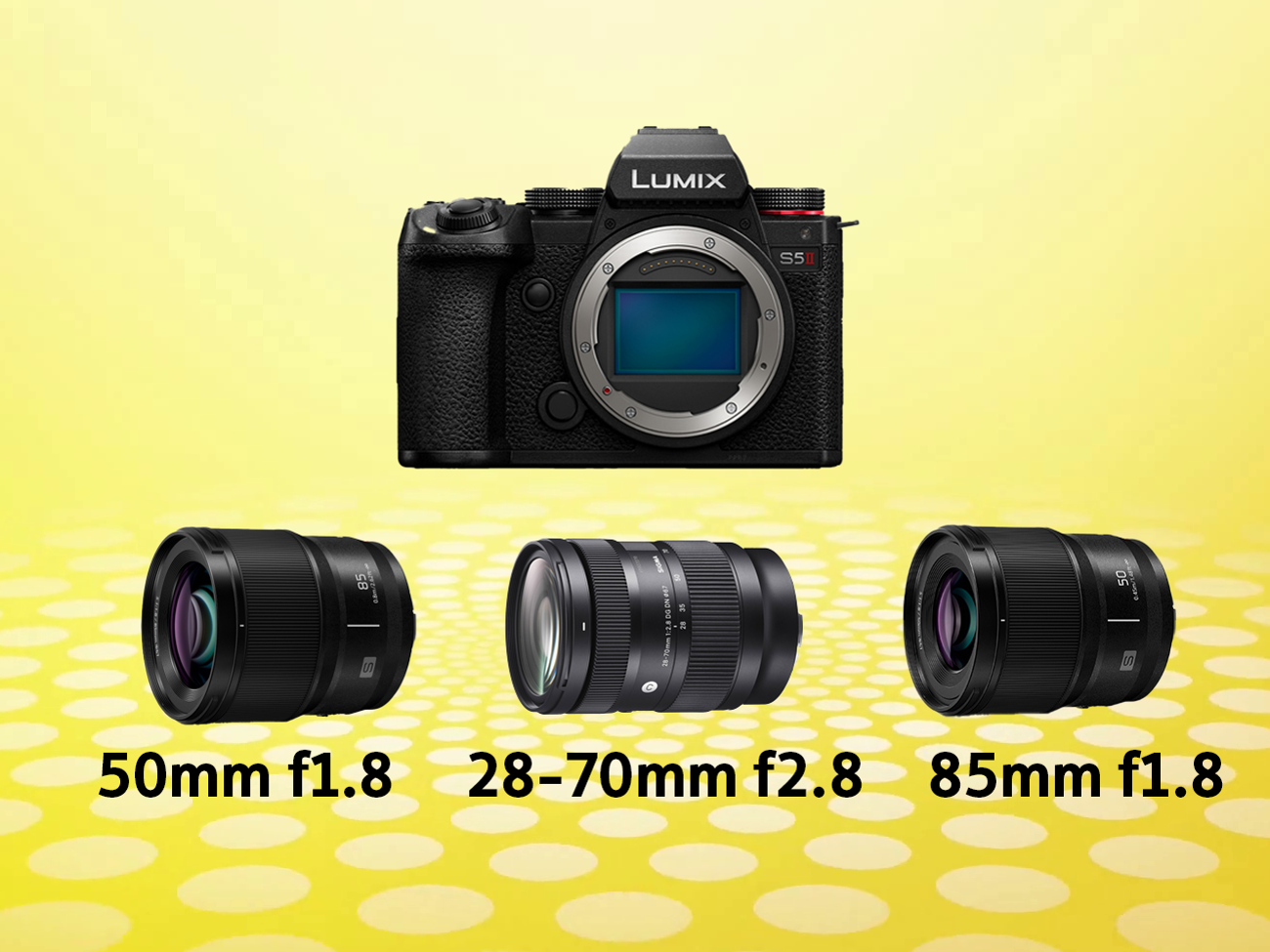 Lumix S5 + Sigma 28-70mm＋MINOLTAsrt101等 PANASONIC LUMIX DC-S5-II + Sigma 16-28/28-70 F2.8