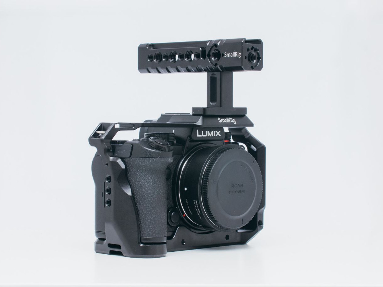 Panasonic s5 + smallrig cage vlog 6k 4k raw like s1h