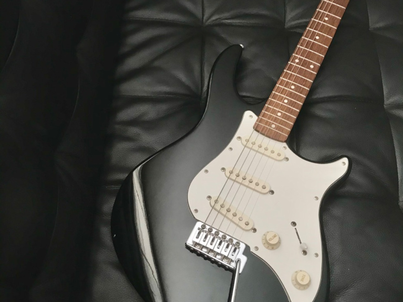 Peavey electric guitar black & white