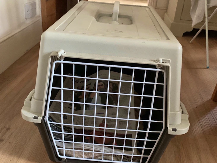 Pet carrier - suitable for cats or small dogs