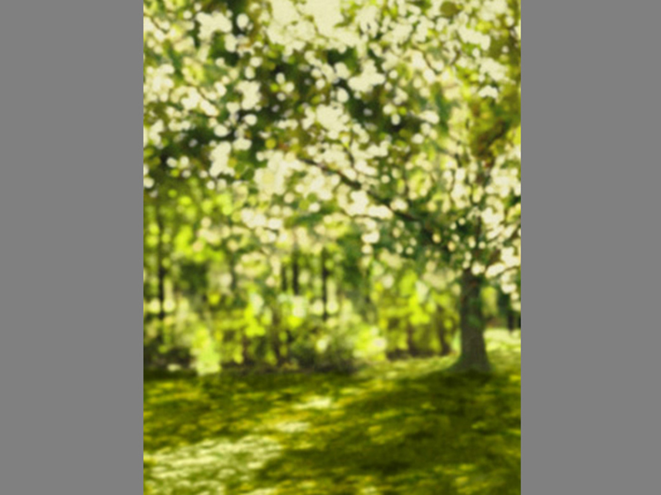 Photography backdrop tree bokeh