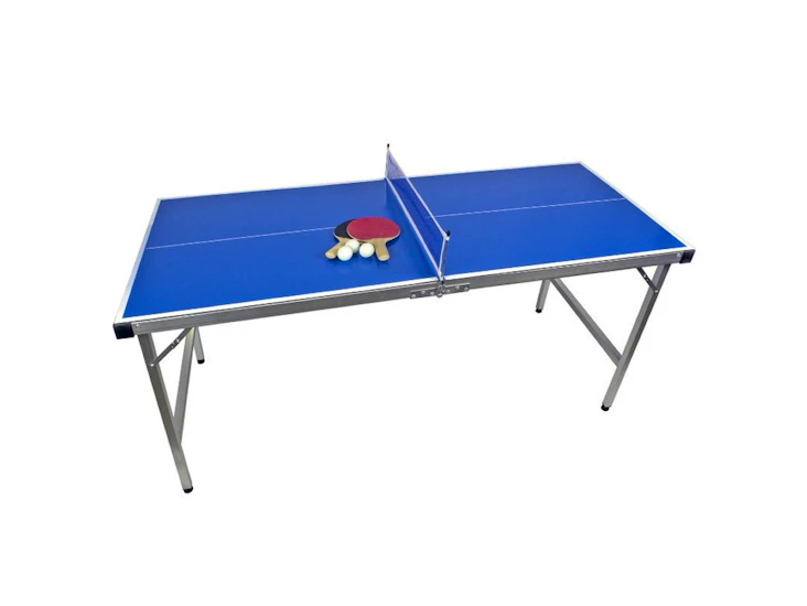 Ping pong table