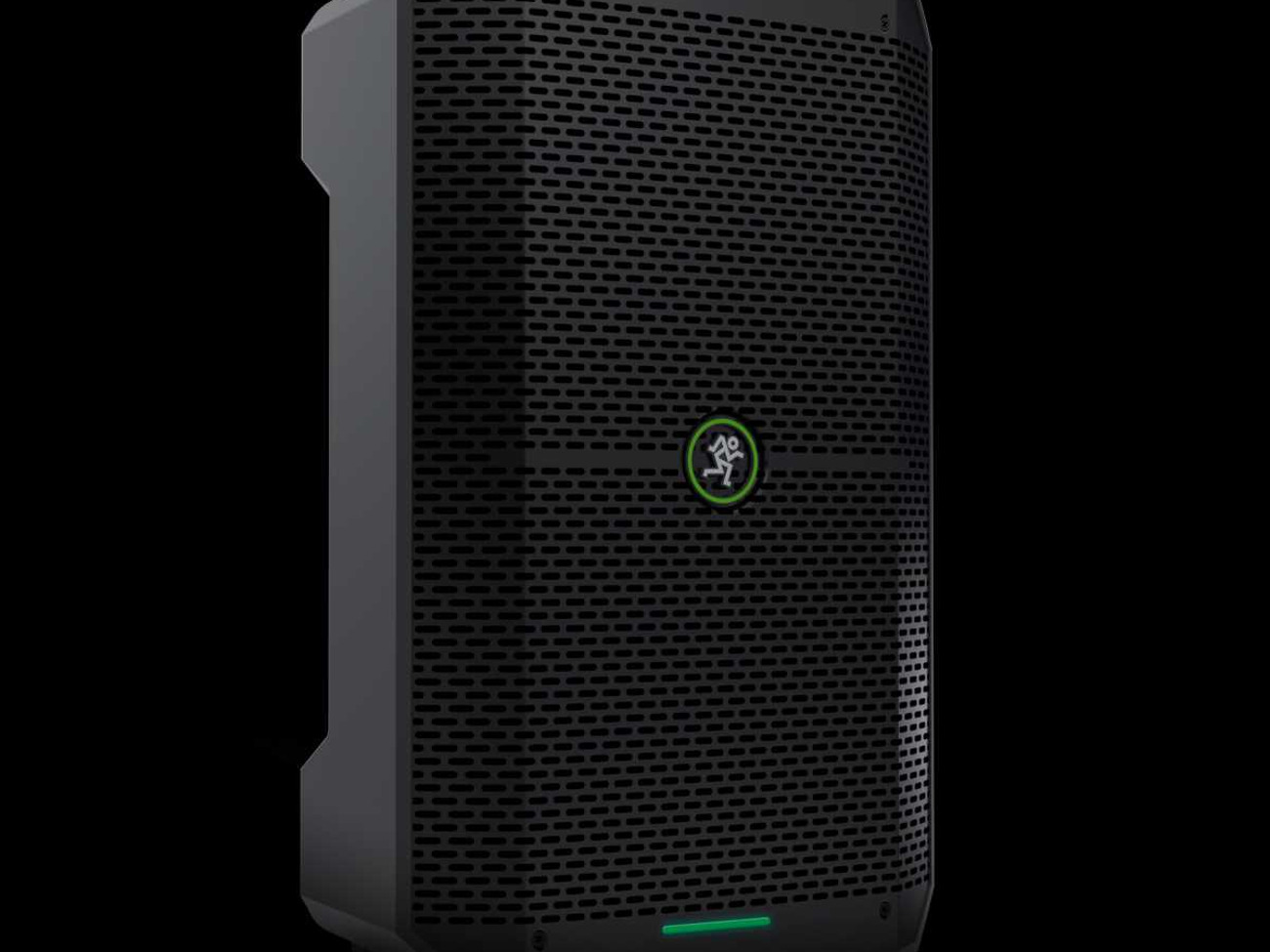 Portable pro party speaker