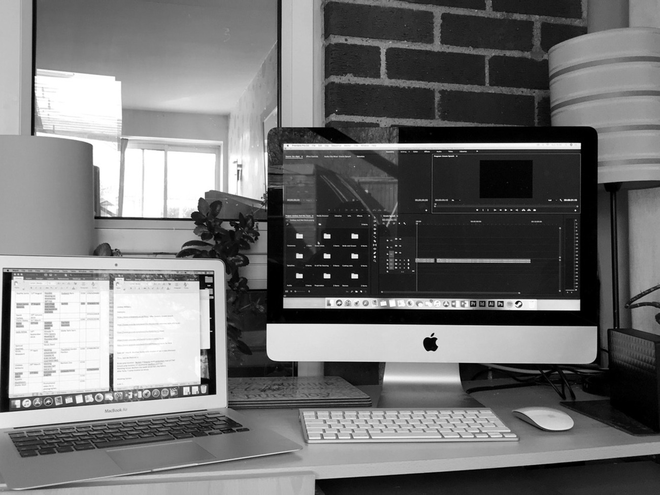 Professional editor 