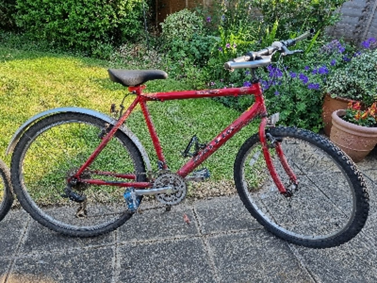 Raleigh small to medium bike