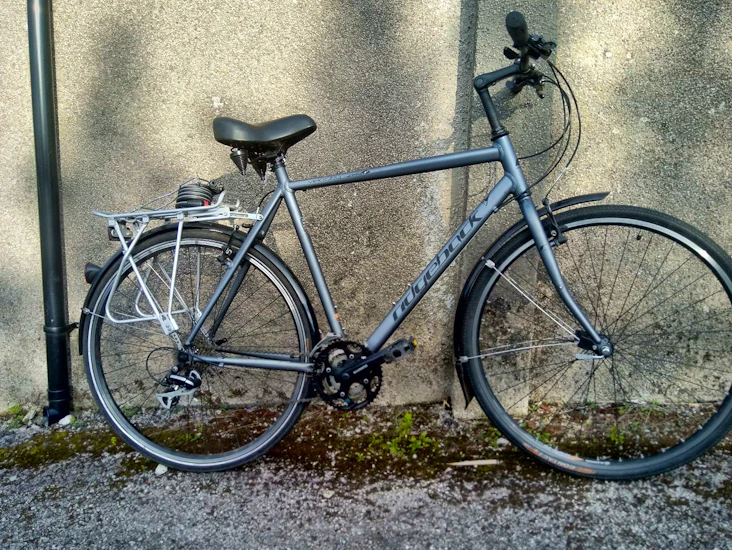 Ridgeback velocity hybrid