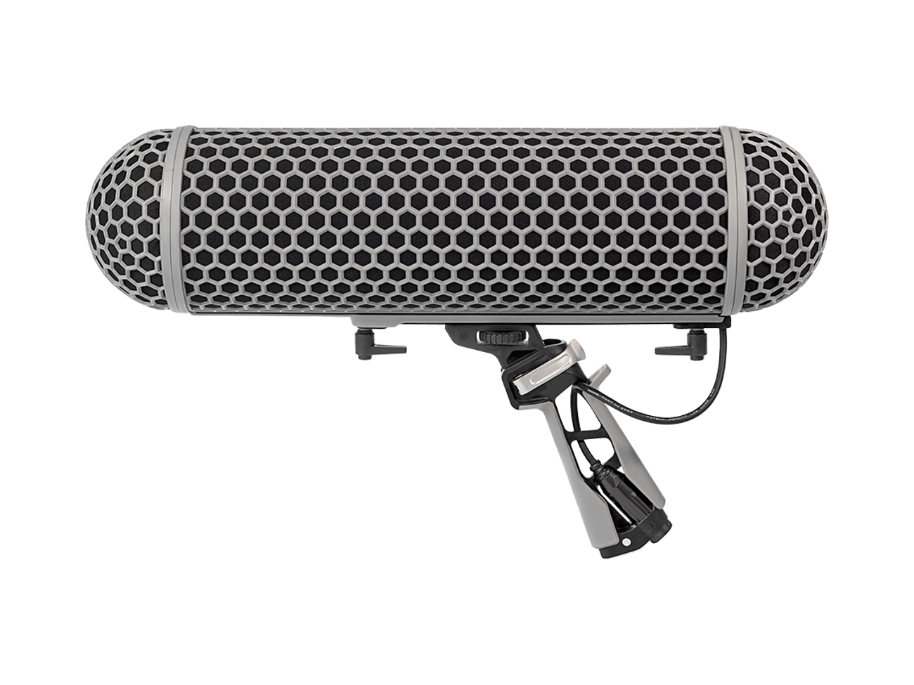 Rode blimp with rycote shockmount
