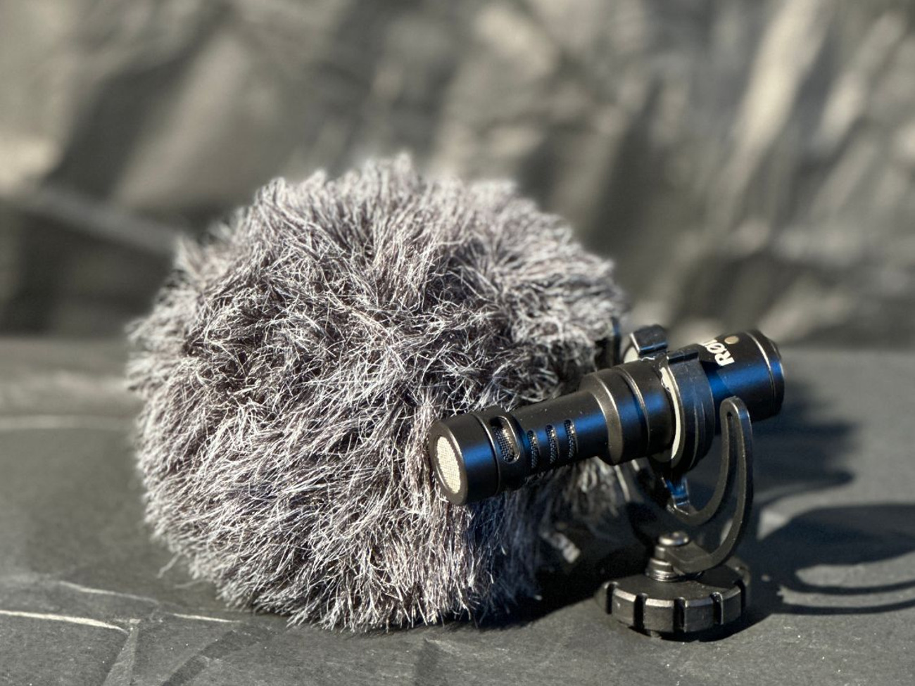 Rode videomicro compact on-camera mic (easy for vlogging)