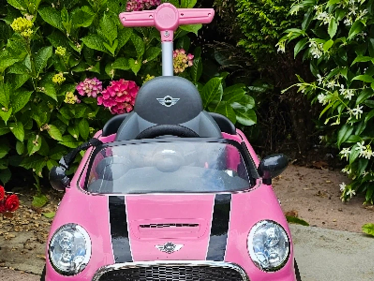 Rollplay mini cooper push buggy pink
