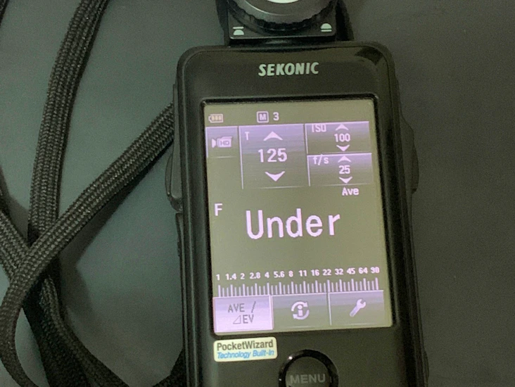 Sekonic lighting exposure