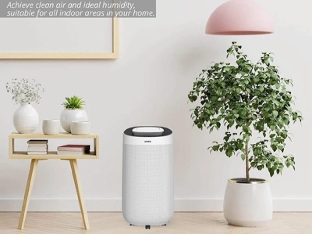 Senelux 12l/day dehumidifier for home