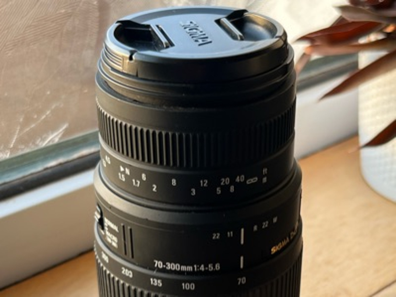 Sigma 70-300mm 4-5.6 (canon fit)