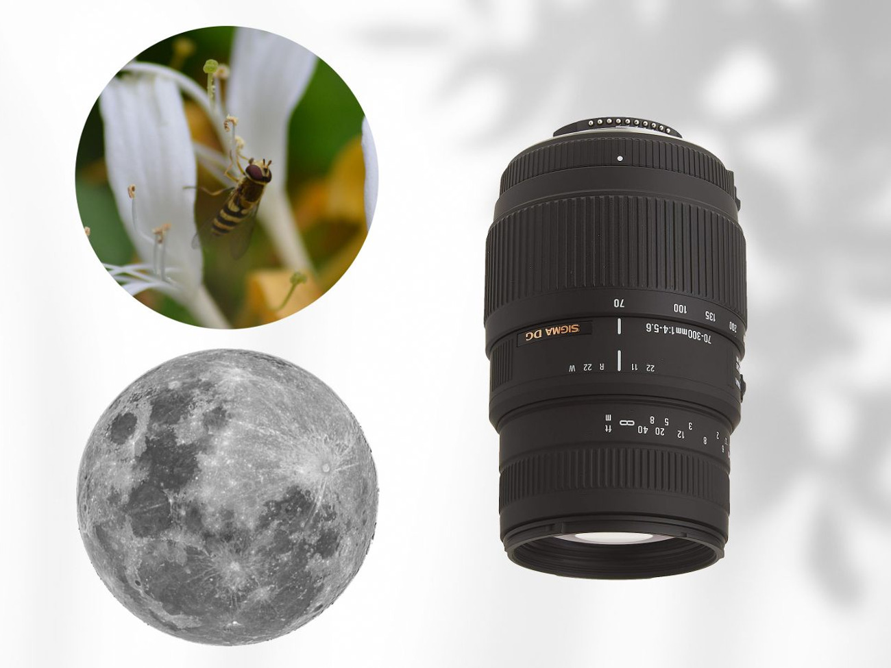 Rent Sigma 70-300mm f4-5.6 DG Macro Nikon & Film Cameras from M B