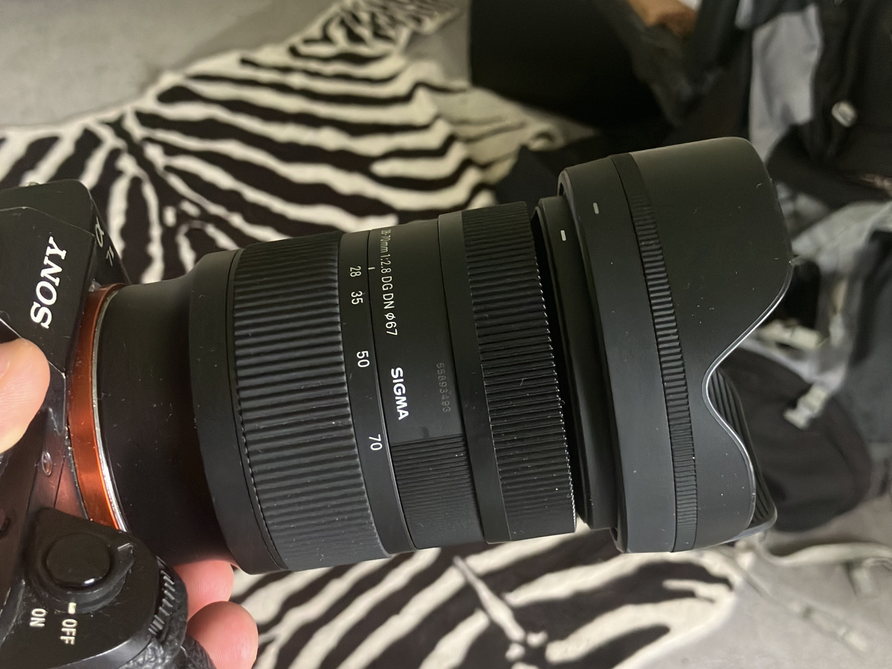 Sigma 24-70 2.8 lens (sony mirrorless compatible, i use sony a7ii) dg dn art 