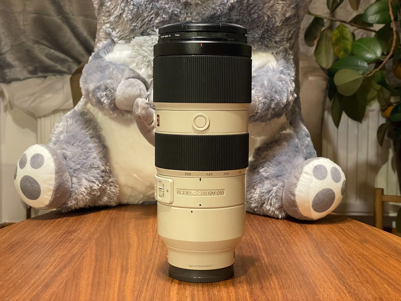 Sony 70-200mm f2.8 gm oss lens (full frame e-mount) a7 g master