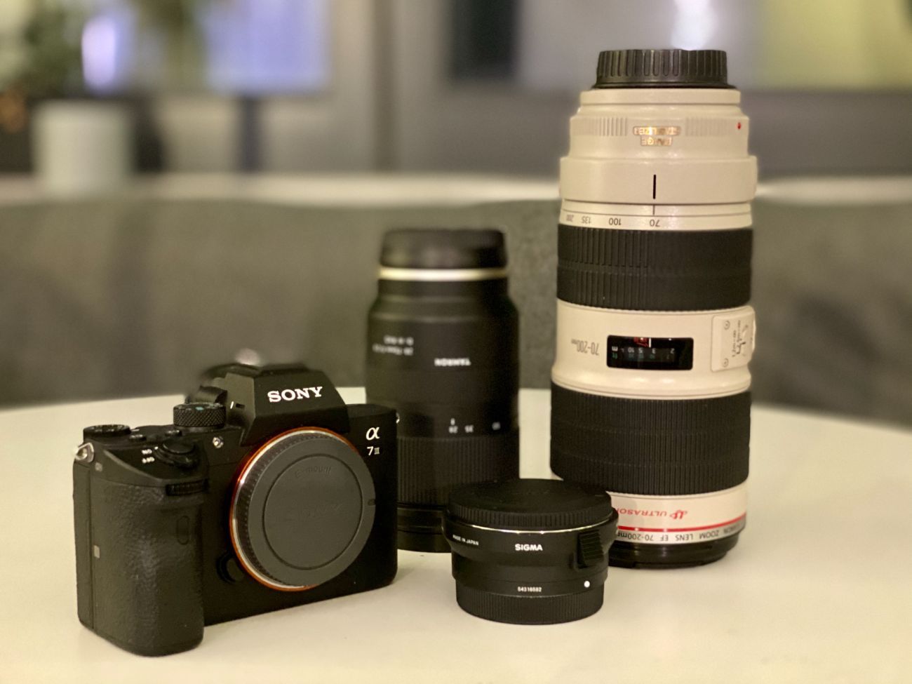 Sony a73 / tamron 28-75mm / canon 70-200mm f/2.8 / sigma mc-11 mount converter