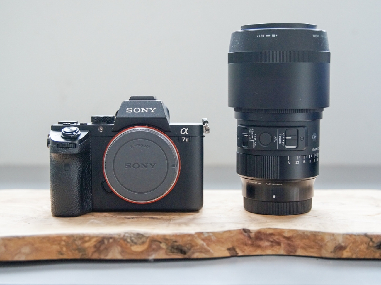 Sony a7ii & sigma 105mm macro f2.8