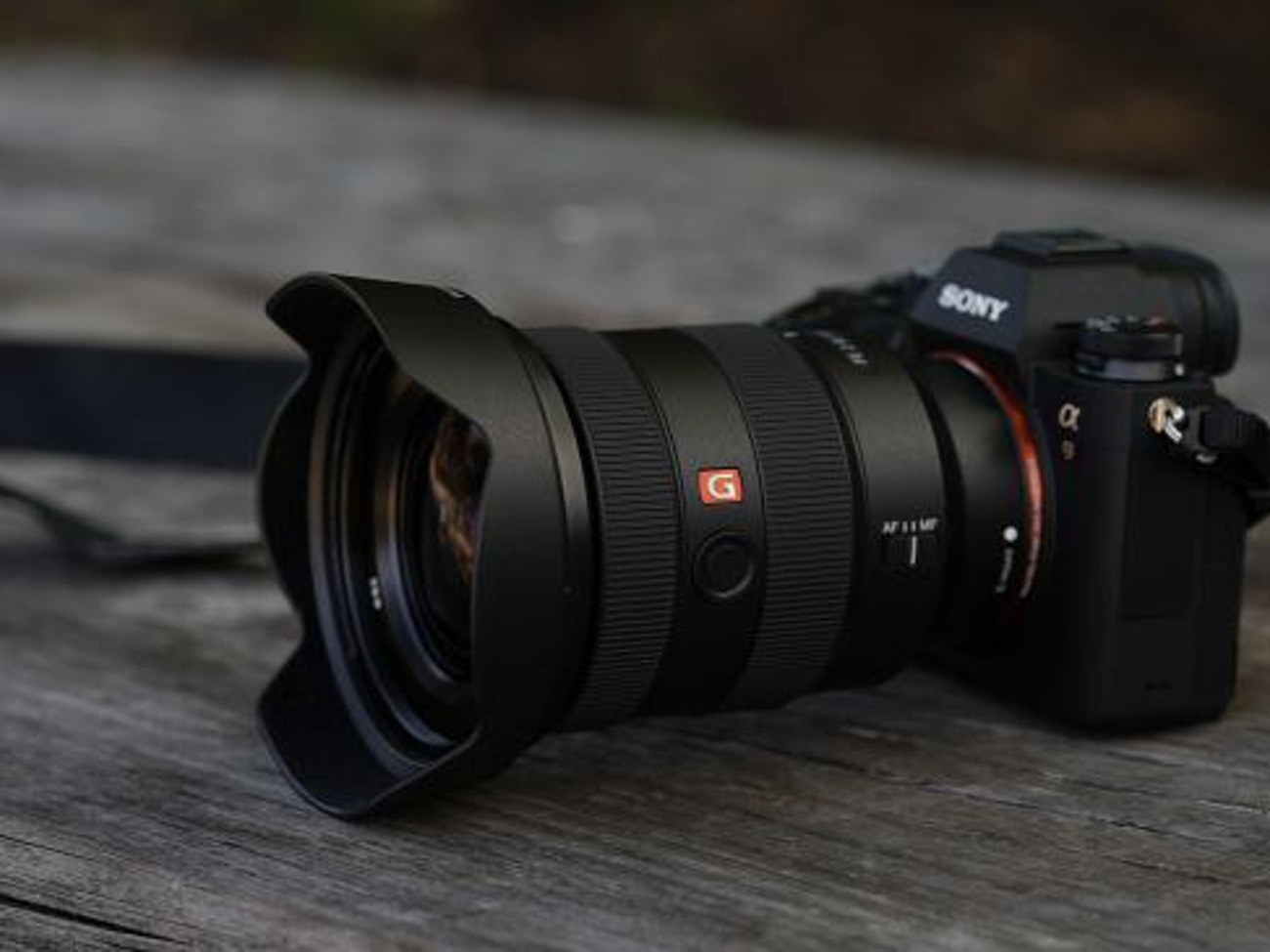 Sony a7iii + 16-35gm