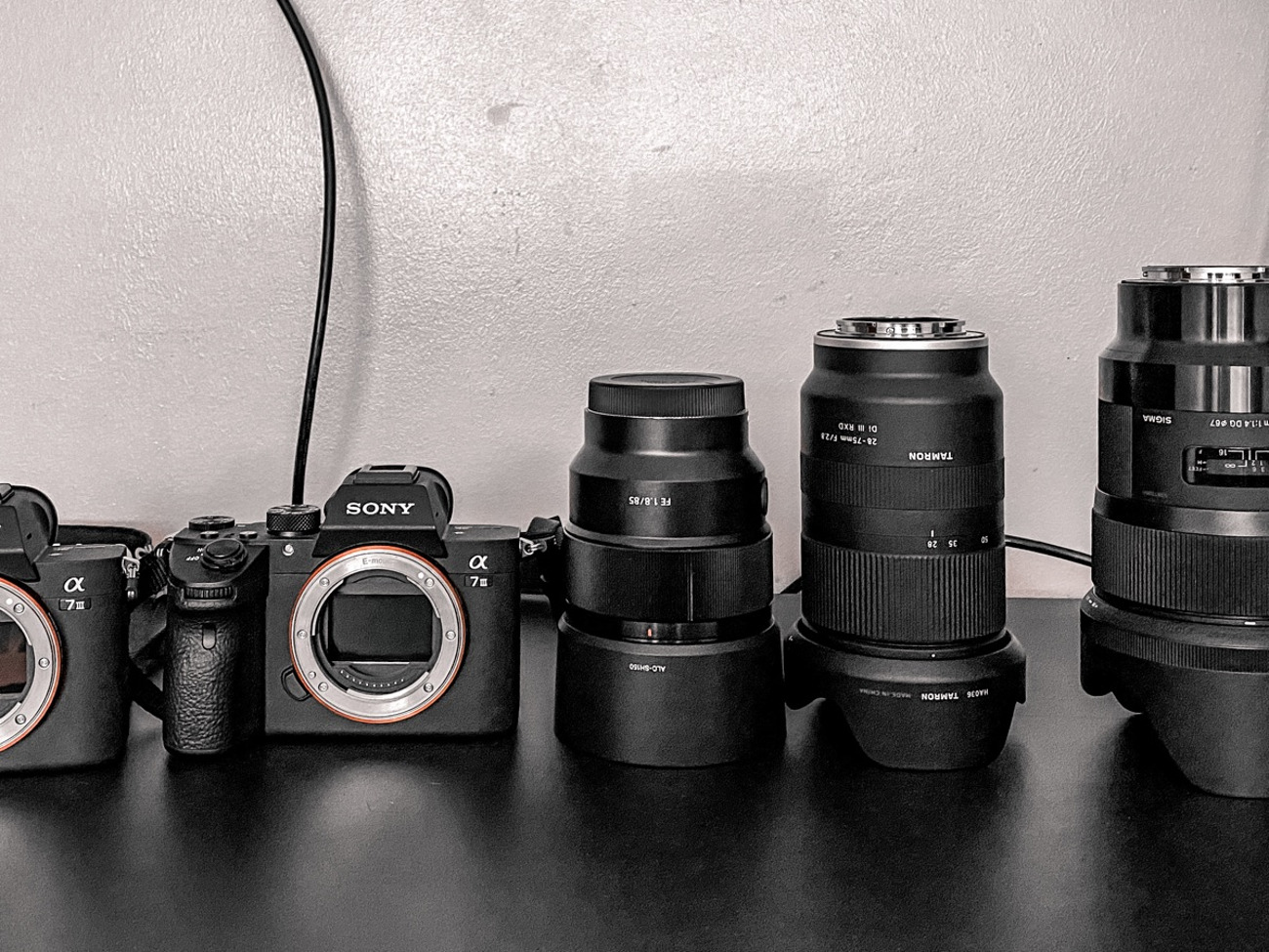 Sony a7iii + sony 85 1.8