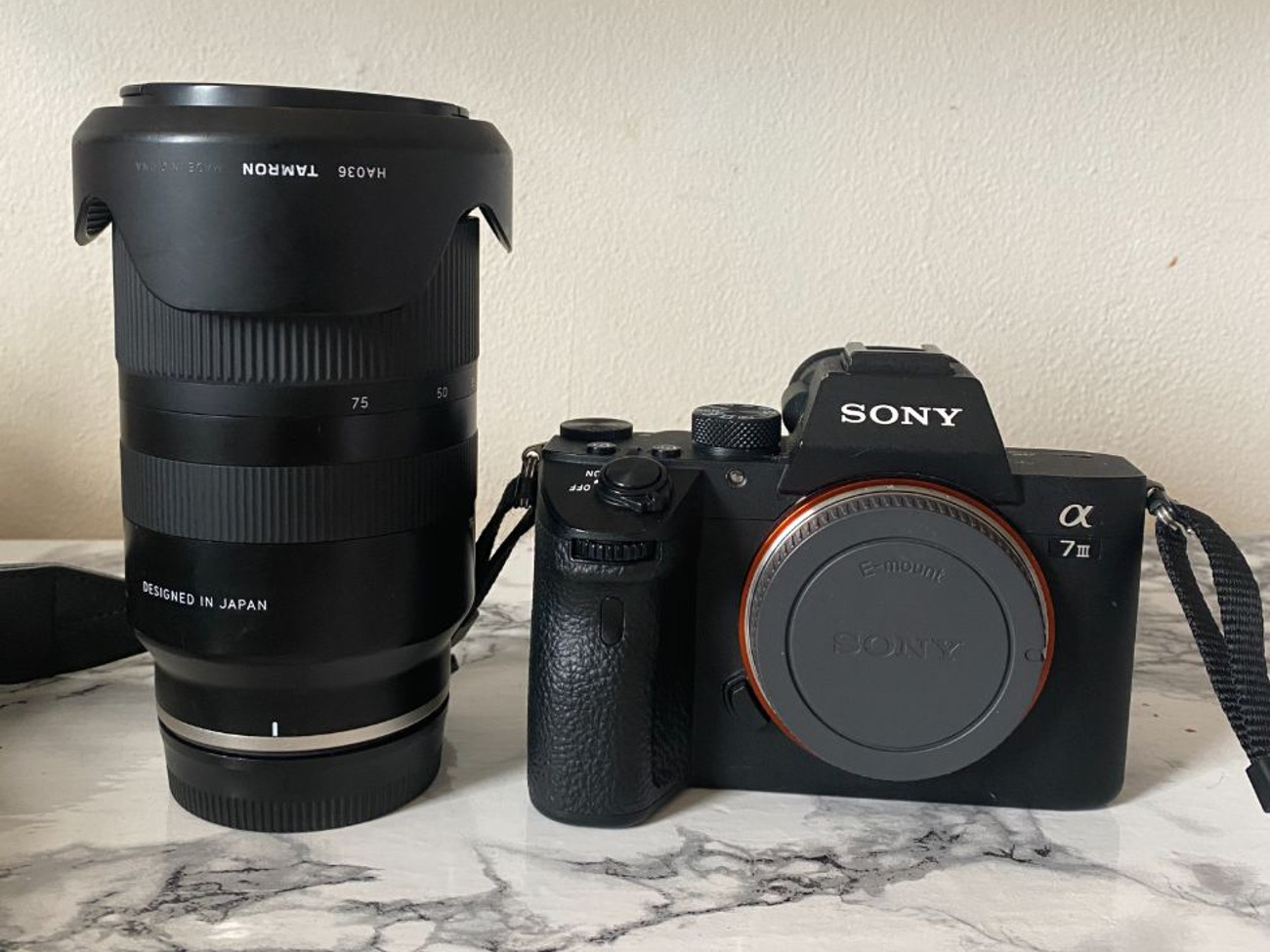 Sony a7iii + tamron 28-75mm 2.8 e mount lens