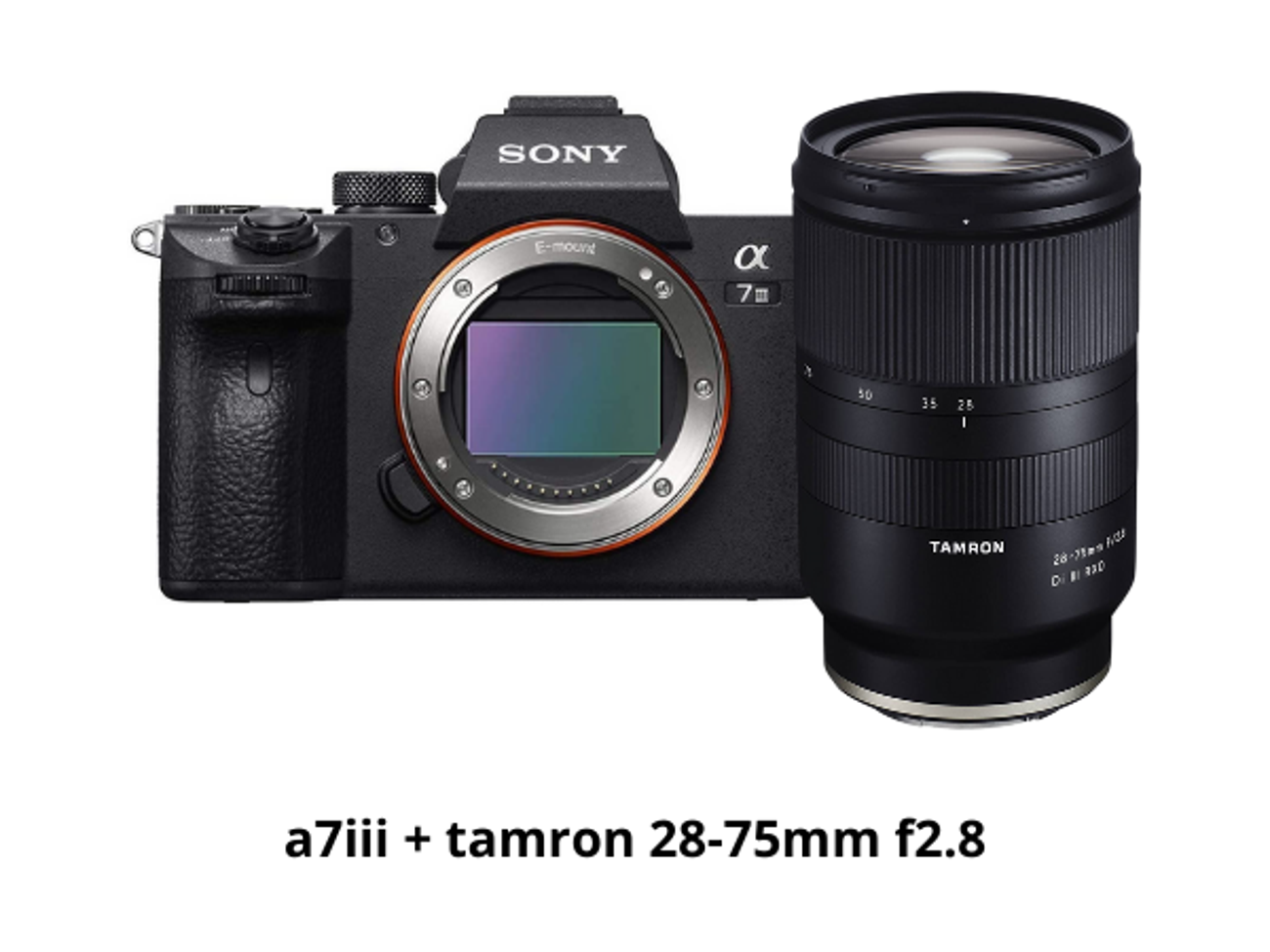 Sony a7iii + tamron 28-75mm lens f2.8
