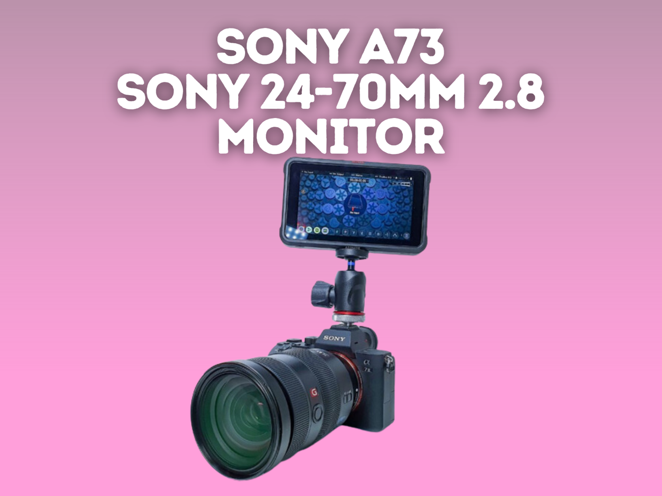 Sony a7iii (sony a73) + sony 24-70 mm gm + ninja monitor