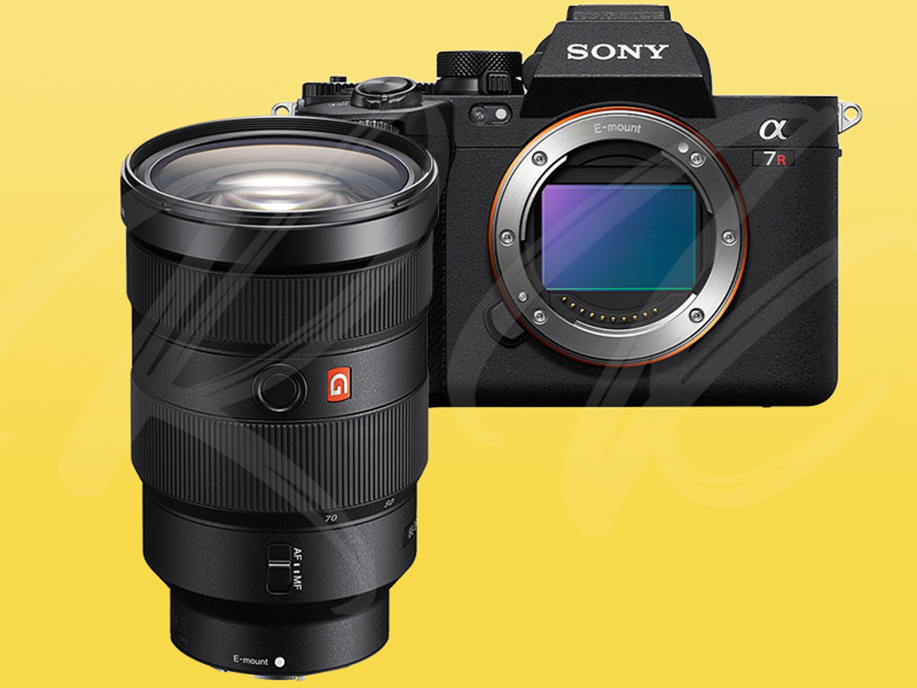 Sony a7r5 (a7rv) + 24-70mm f2.8 lens