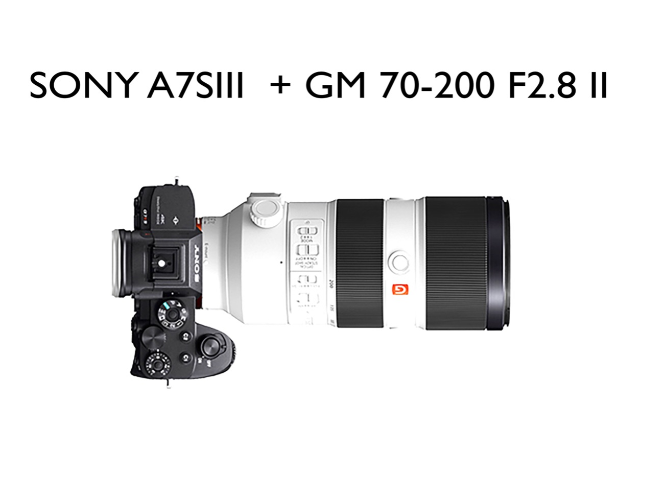Sony a7s iii gm 70-200 f2.8 ii 