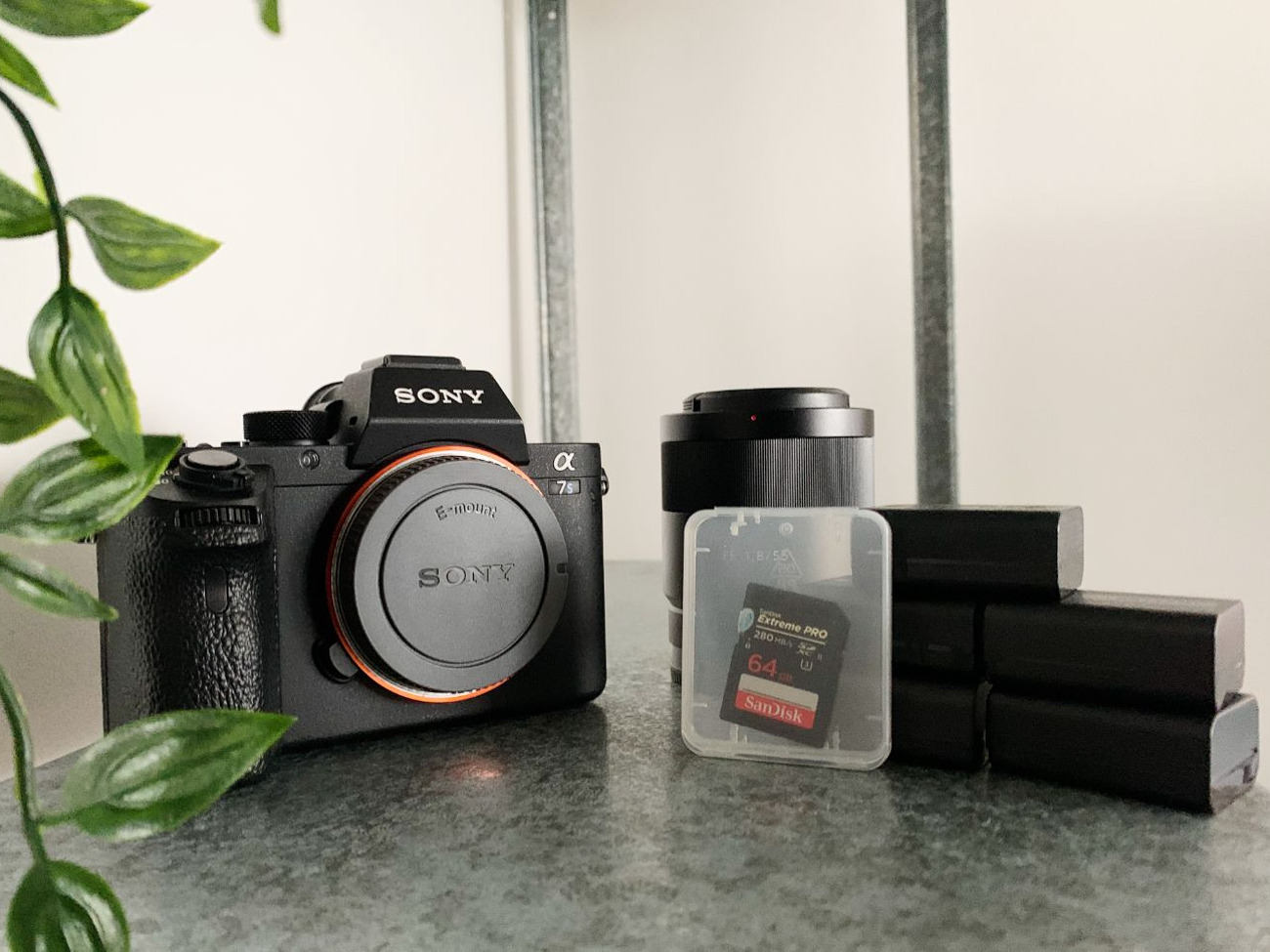 Sony a7sii mirrorless camera + zeiss 55mm lens 