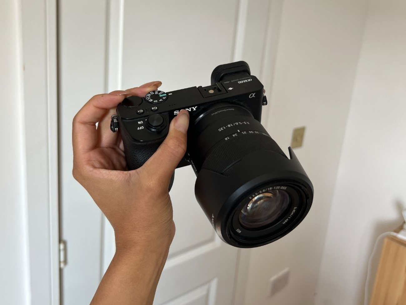 Rent Sony Alpha A6600 Mirrorless Camera with 18135mm Lens from Laura M