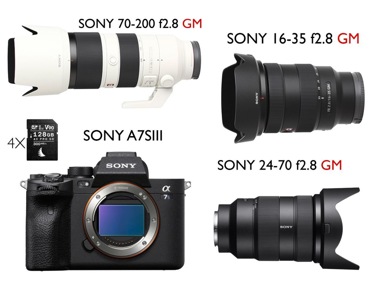 Sony alpha a7s iii + g master lens custom 