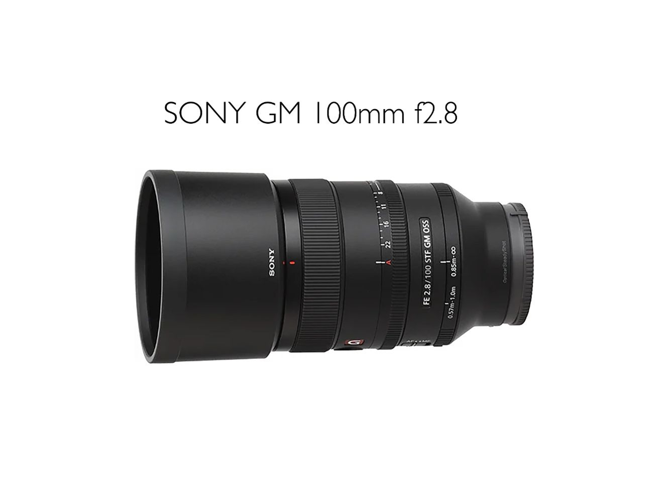 Sony e/fe 100mm f2.8 g master gm prime lens